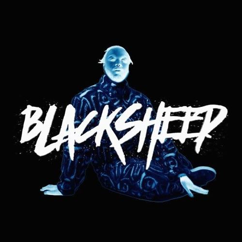Black Sheep cover art