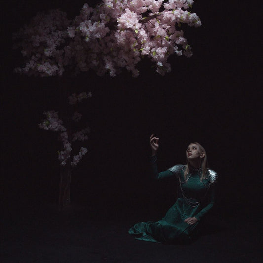 As the Light Left cover art