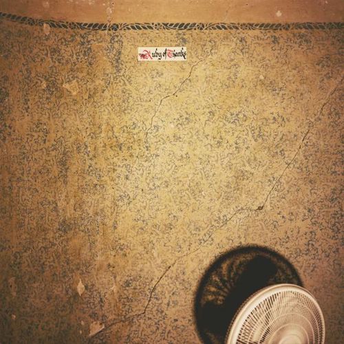 Before You Turn Into a Dog cover art