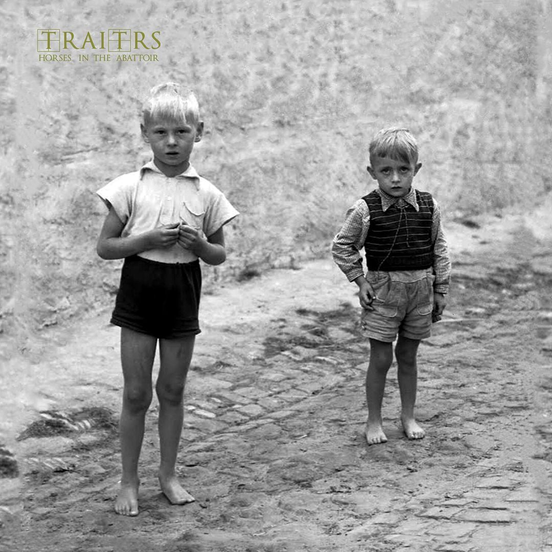 Horses in the Abattoir cover art