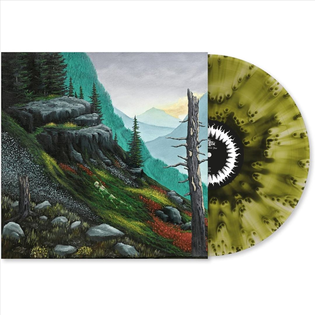 Distant Fire cover art