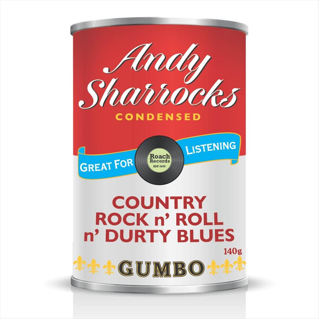 Country Rock 'n' Roll and Durty Blues cover art