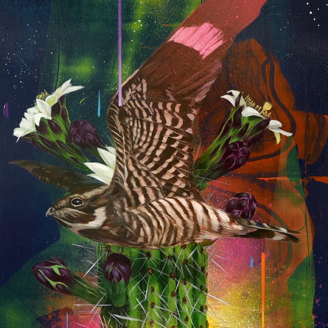 Playa Larga/1900 Ocean Ave cover art