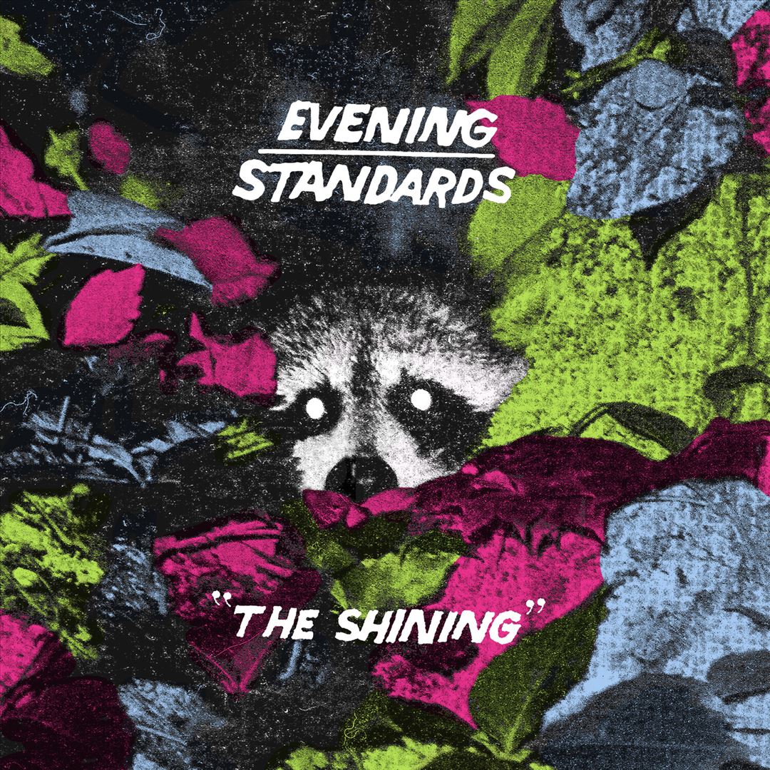 Shining cover art