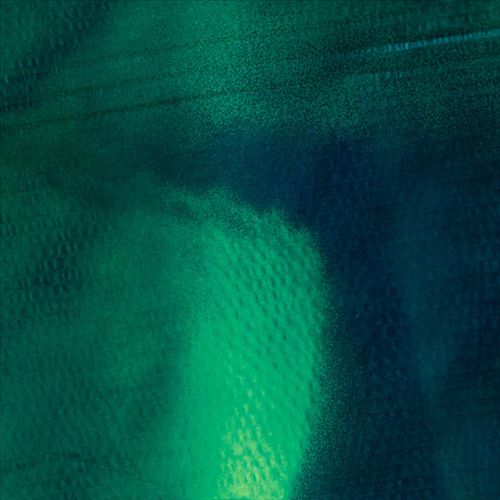 Tiergarten cover art