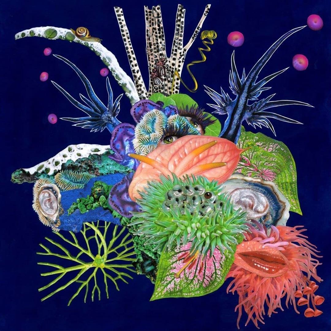 Touche cover art