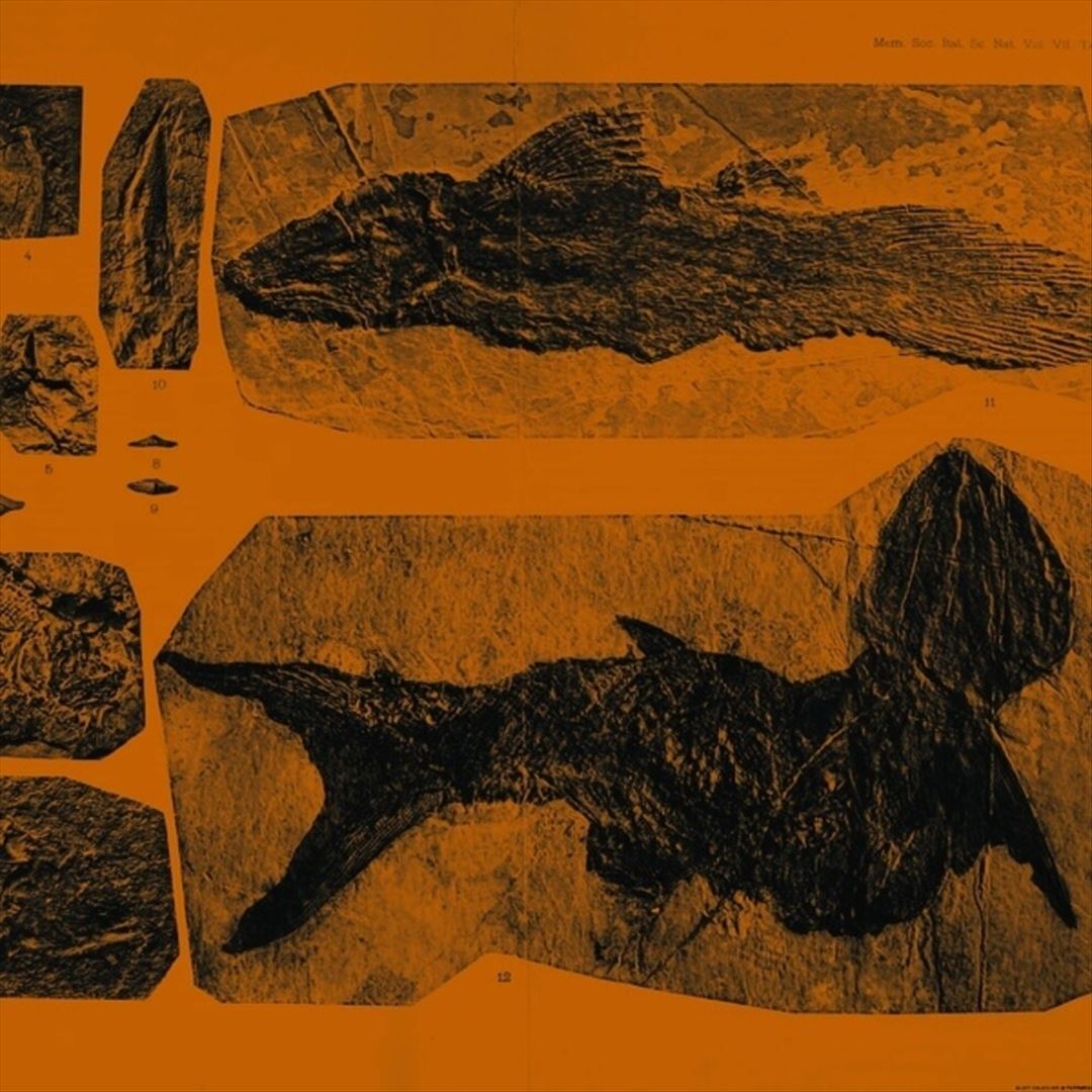 Mares cover art