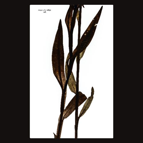 Sult cover art
