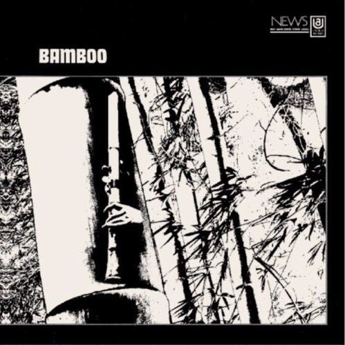 Bamboo cover art