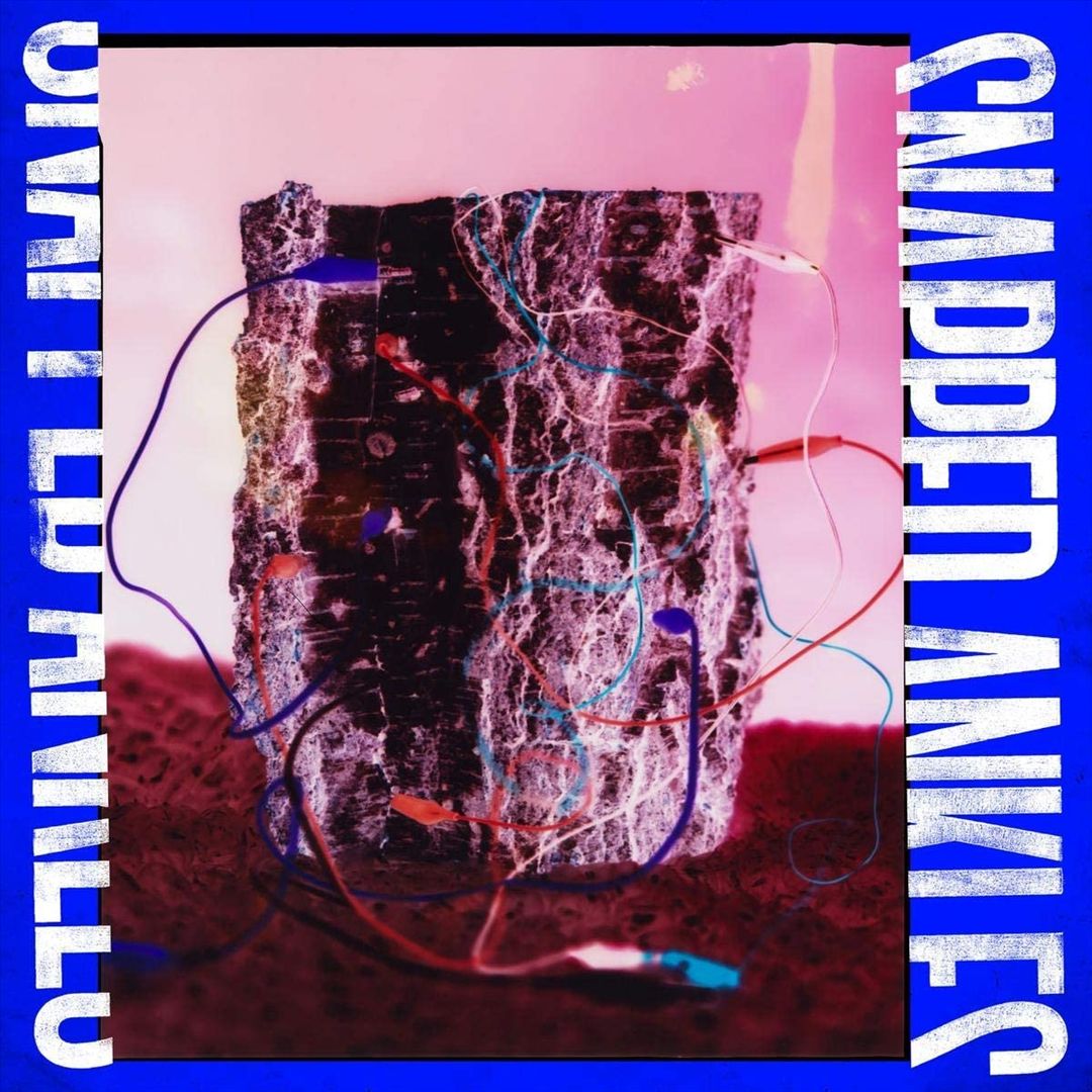 Forest of Your Problems cover art