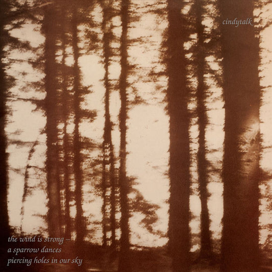 Wind Is Strong cover art