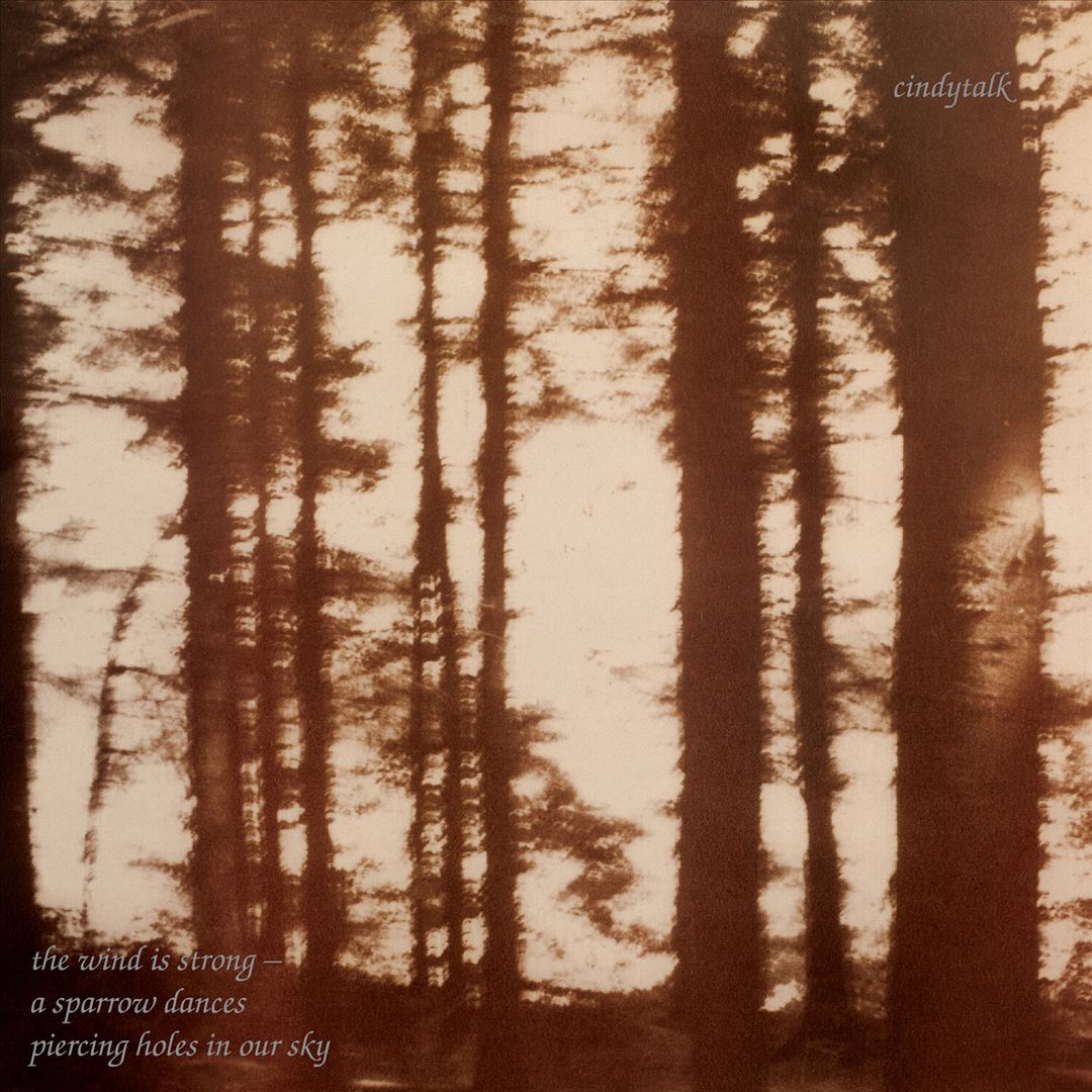 Wind Is Strong cover art