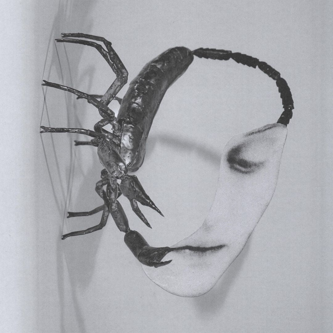 Touch cover art