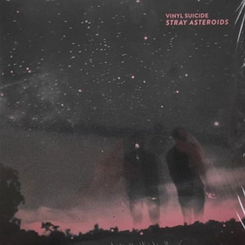 Stray Asteroids cover art