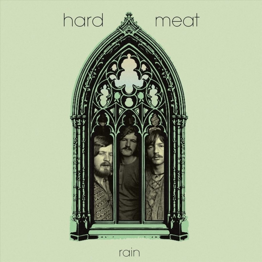 Rain cover art