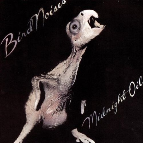 Bird Noises cover art