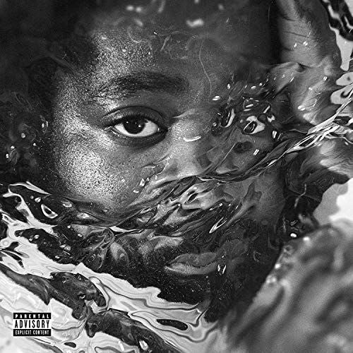 Surfacing cover art