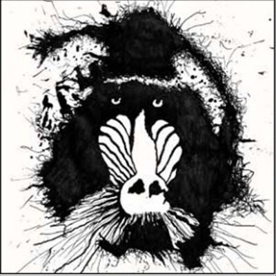 Feral Ohms cover art