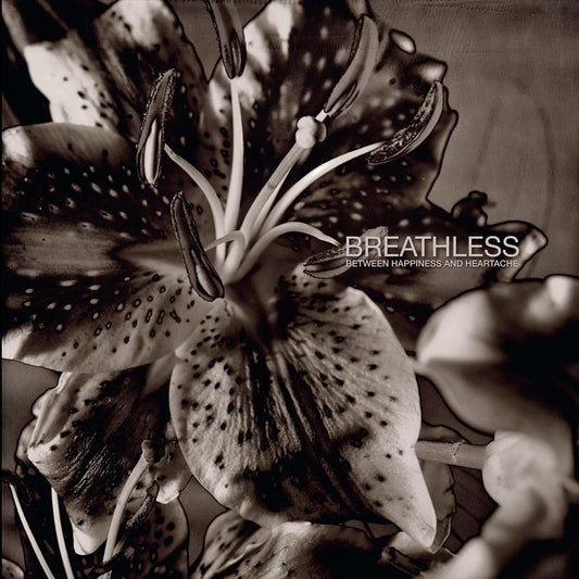 Between Happiness and Heartache cover art