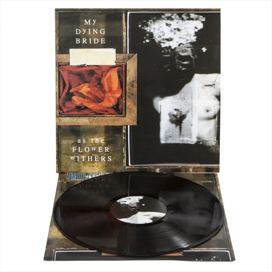 As the Flower Withers cover art