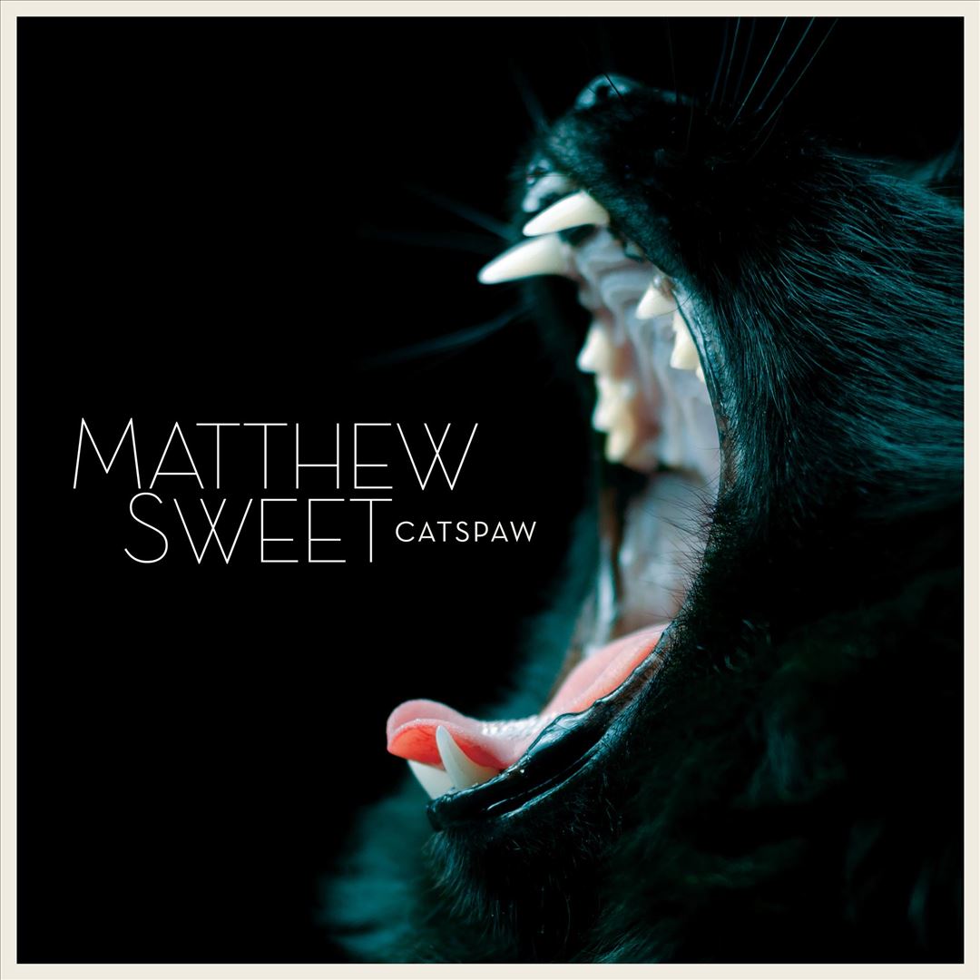 Catspaw cover art