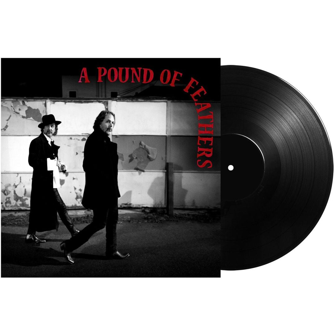 Pound of Feathers cover art