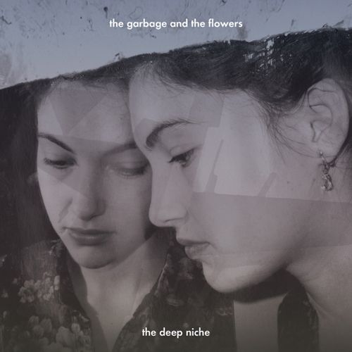 Deep Niche cover art