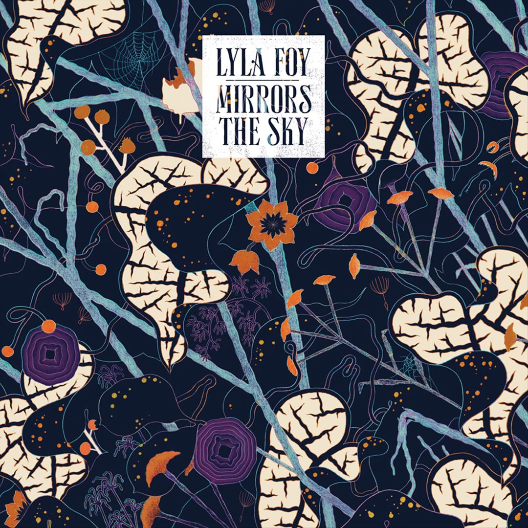 Mirrors the Sky cover art