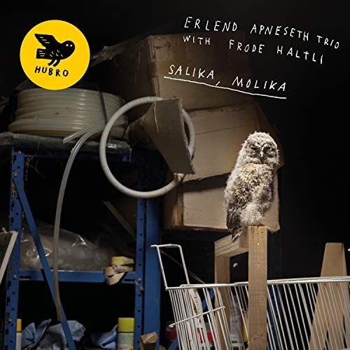 Salika, Molika cover art