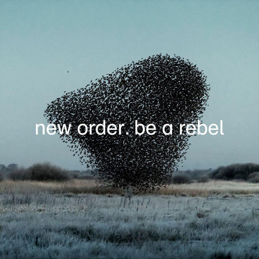 Be a Rebel cover art