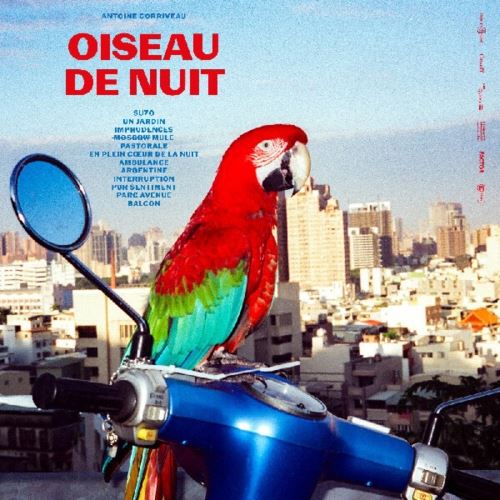 Oiseau de Nuit cover art