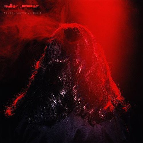 Toeachizown, Vol. 4: Hood cover art