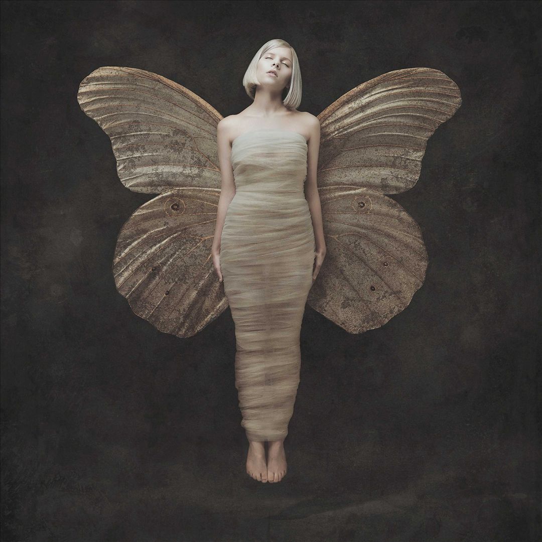 All My Demons Greeting Me as a Friend [LP] cover art