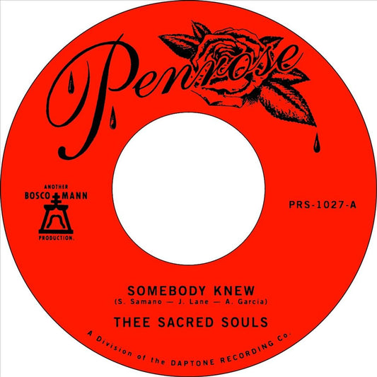 Somebody Knew cover art