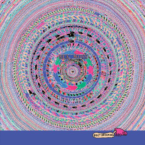 Bidet Dreaming cover art