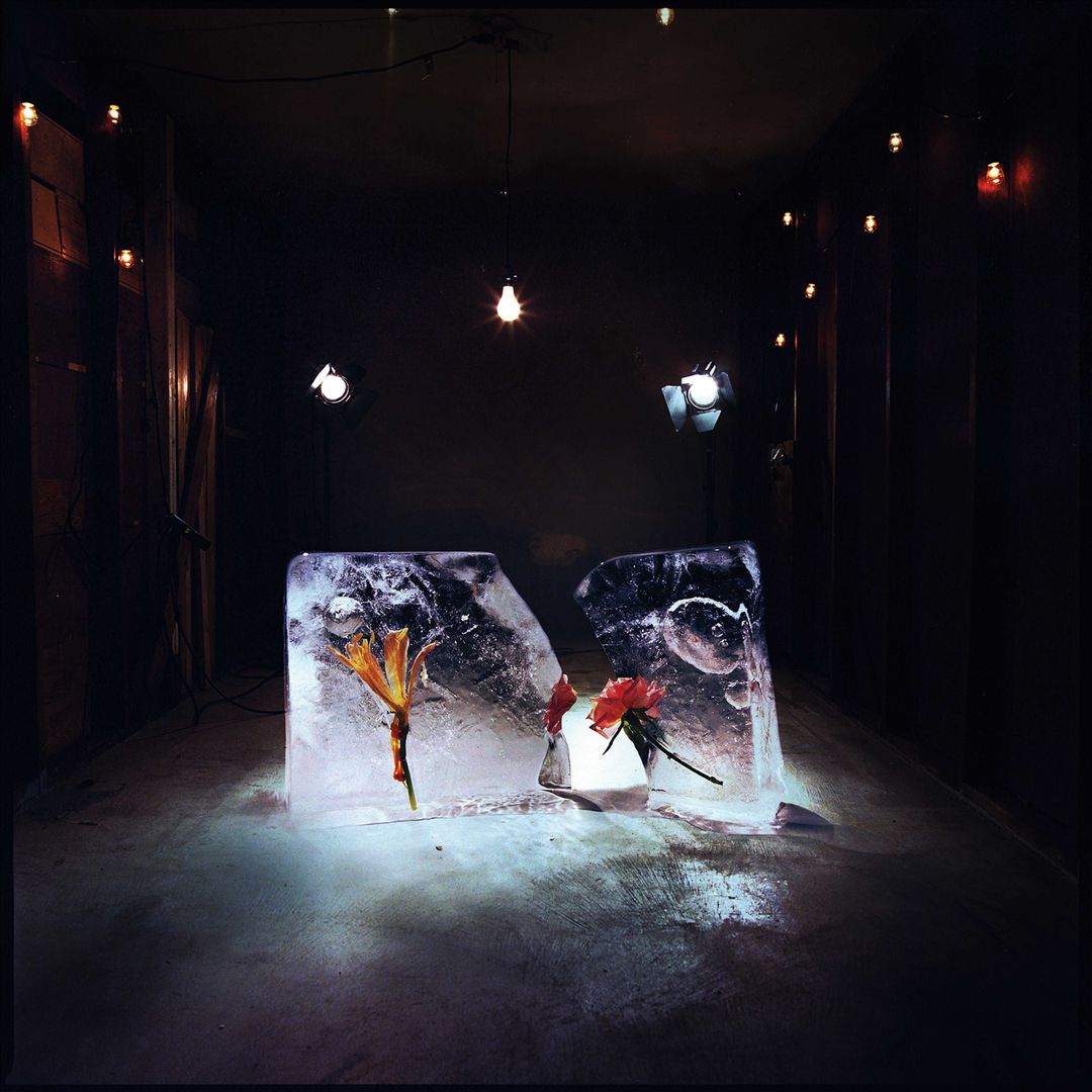 Salt cover art