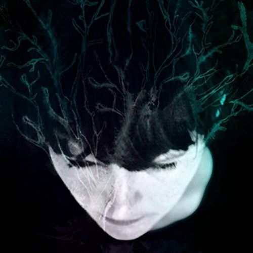 While We Still Have Light cover art