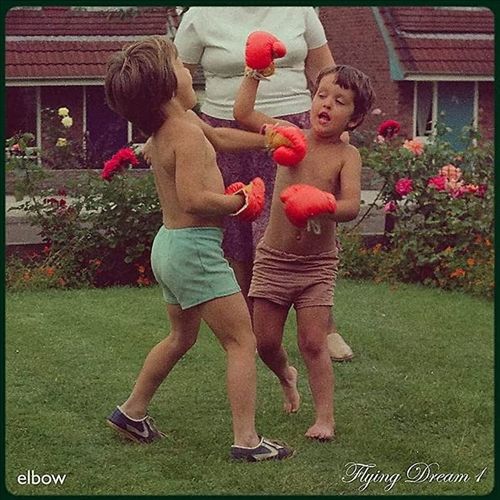 Flying Dream 1 cover art