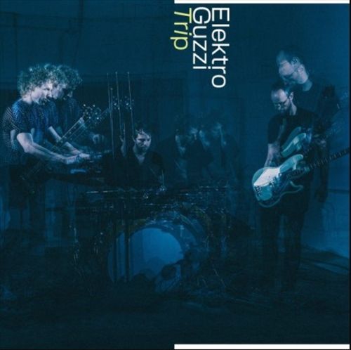 Trip cover art
