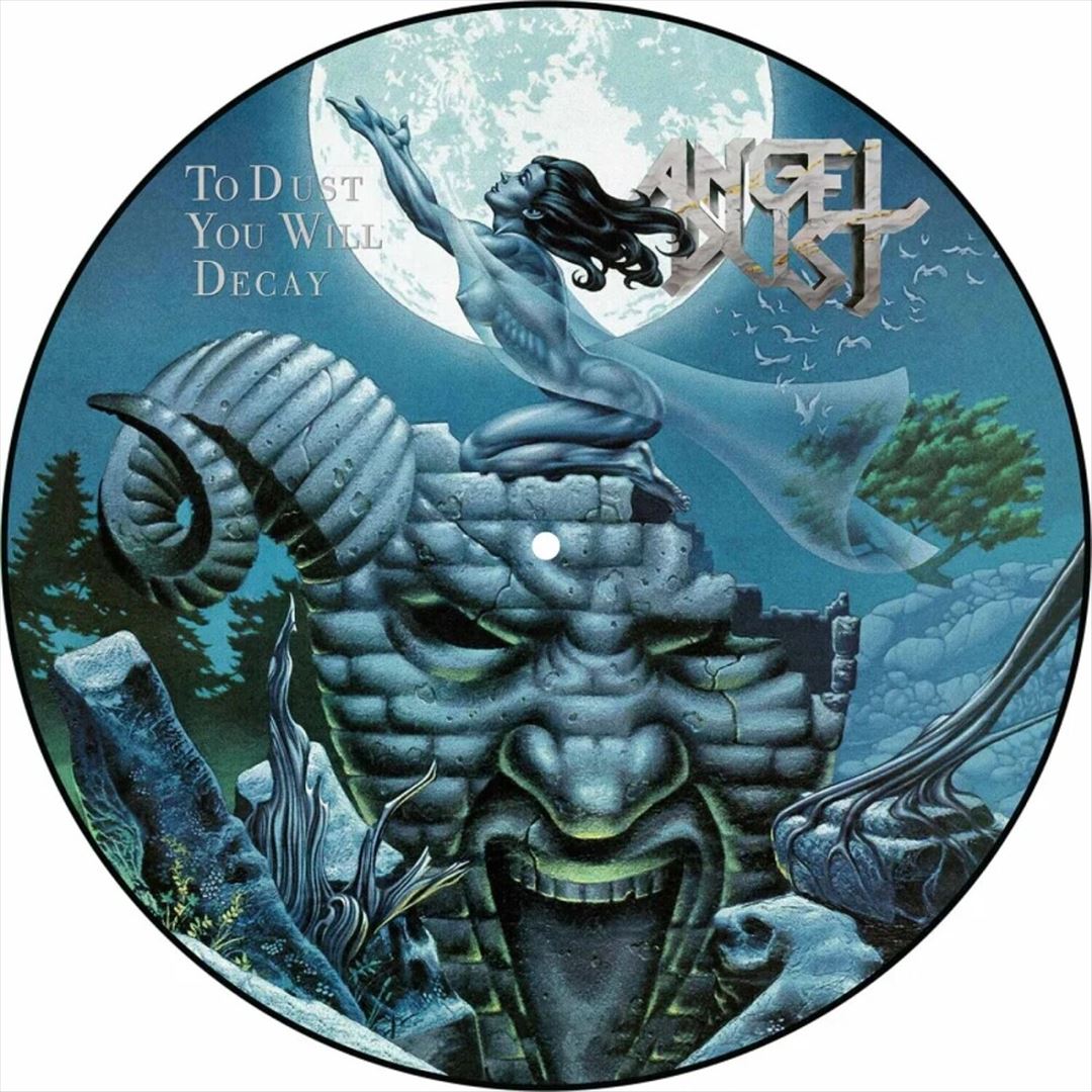 To Dust You Will Decay cover art