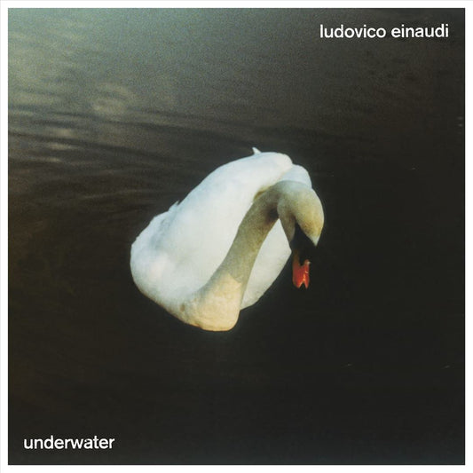 Underwater cover art