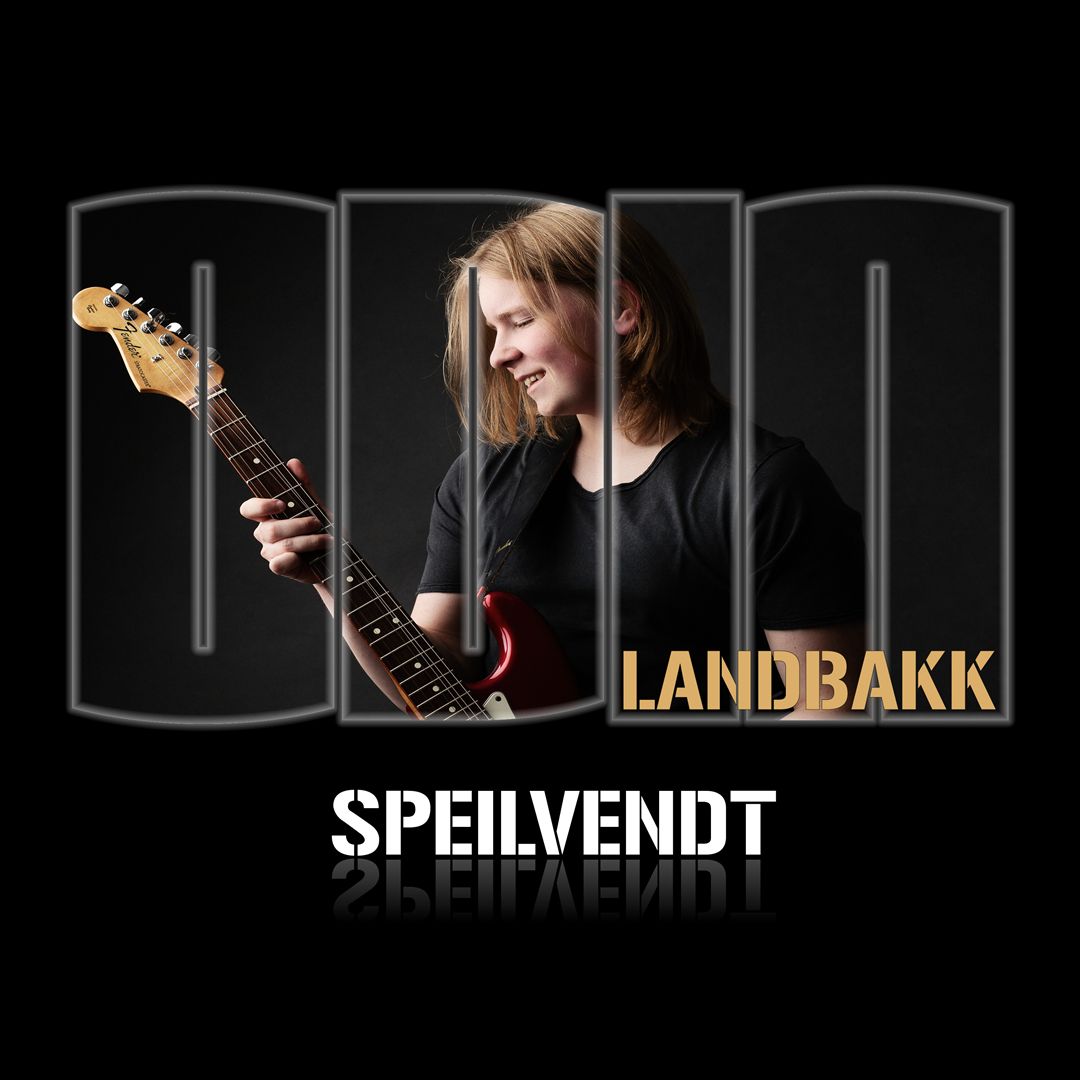 Speilvendt cover art