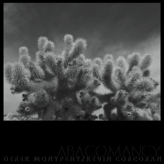 Abacomancy cover art