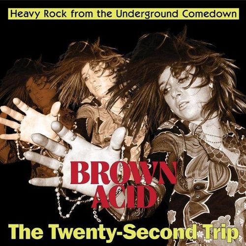 Brown Acid: The Twenty-Second Trip cover art