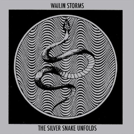 Silver Snake Unfolds cover art