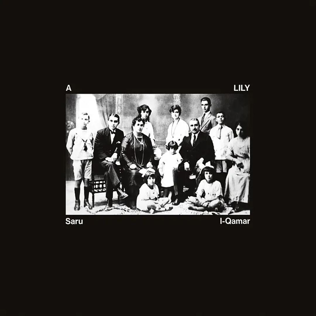 Saru L-Qamar  cover art
