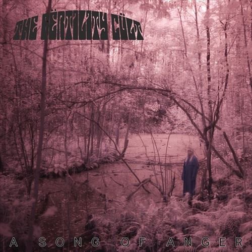 Song of Anger cover art