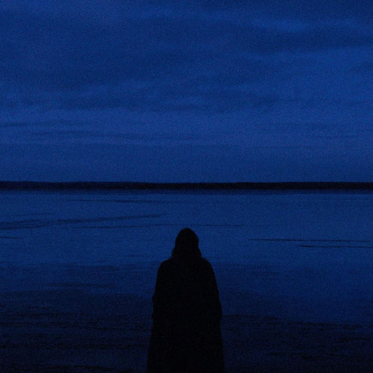 Album Bleu cover art