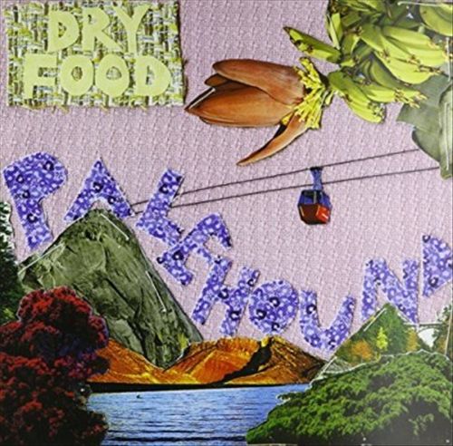 Dry Food cover art