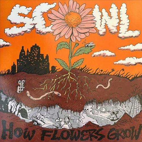 How Flowers Grow cover art